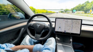Tesla Owners Pakai Kepala Boneka, Cara Aneh Membobol Full Self-Driving