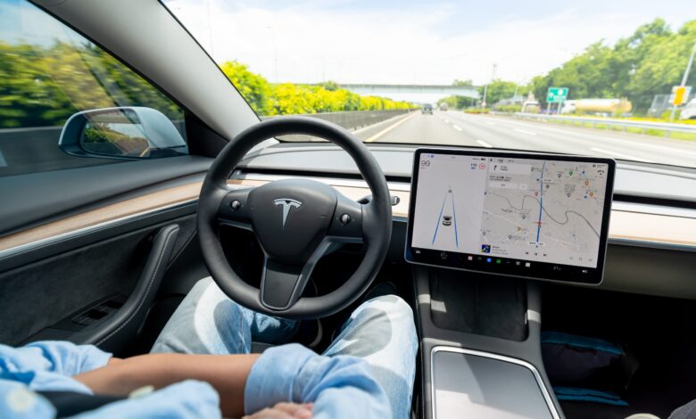 Tesla Owners Pakai Kepala Boneka, Cara Aneh Membobol Full Self-Driving