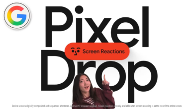 Pixel Drop Berikutnya Makin Agresif, Screen Reactions dan Gemini Omni Siap Masuk Pixel