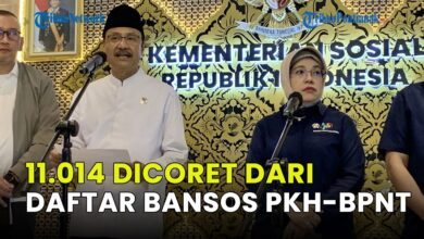 Status Exclude Muncul di PKH dan BPNT, Bukan Error Sistem Ini Alasan Bantuan Tertahan