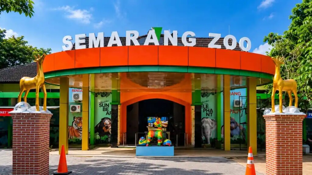 Buruan Catat Tanggalnya, Semarang Zoo Buka Tiket Gratis untuk Pelajar Saat Libur Sekolah