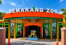Buruan Catat Tanggalnya, Semarang Zoo Buka Tiket Gratis untuk Pelajar Saat Libur Sekolah