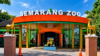 Buruan Catat Tanggalnya, Semarang Zoo Buka Tiket Gratis untuk Pelajar Saat Libur Sekolah