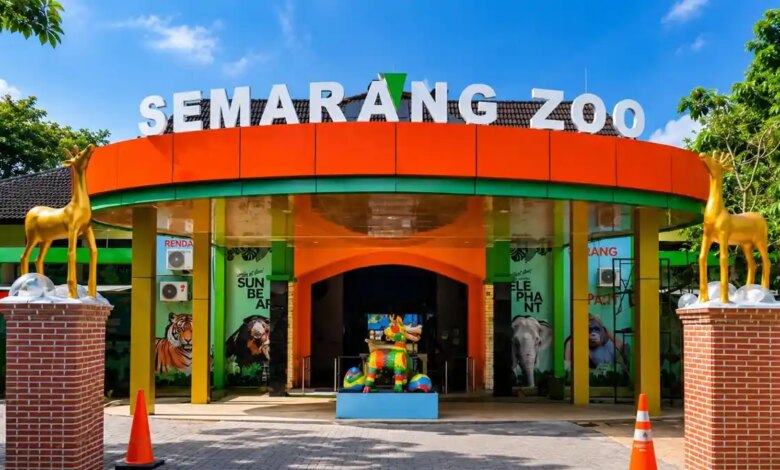 Buruan Catat Tanggalnya, Semarang Zoo Buka Tiket Gratis untuk Pelajar Saat Libur Sekolah