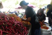 Jatim Tembus 122,6 Pada Mei 2026, Keyakinan Konsumen Melampaui Nasional Di Tengah Tekanan Global