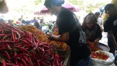 Jatim Tembus 122,6 Pada Mei 2026, Keyakinan Konsumen Melampaui Nasional Di Tengah Tekanan Global