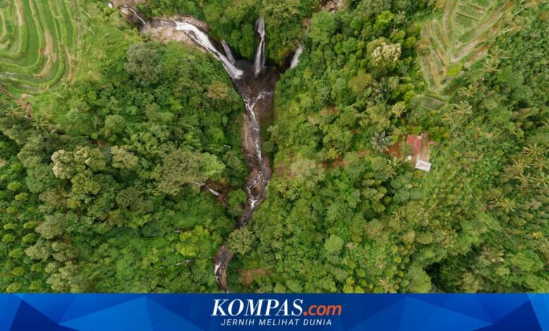 Jatim Dorong Perhutanan Sosial Naik Kelas, Kemitraan Usaha dan Agroforestri Jadi Kuncinya