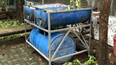 5 Ikan Selain Nila yang Cocok Dipelihara di Drum, Panennya Cepat dan Tetap Menjanjikan