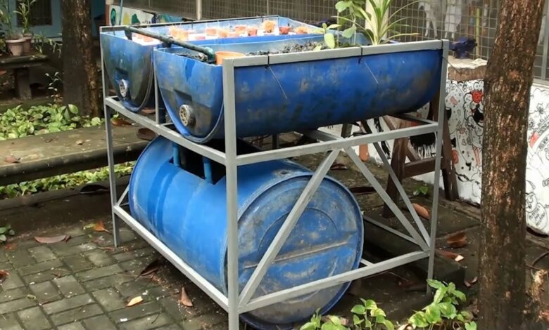 5 Ikan Selain Nila yang Cocok Dipelihara di Drum, Panennya Cepat dan Tetap Menjanjikan
