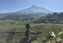 Gunung Lawu Masih Aktif, Di Baliknya Ada Candi, Warung Tertinggi, Dan Tradisi Sakral