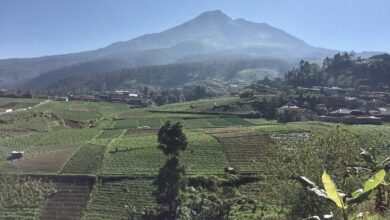 Gunung Lawu Masih Aktif, Di Baliknya Ada Candi, Warung Tertinggi, Dan Tradisi Sakral