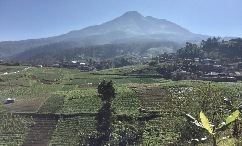 Gunung Lawu Masih Aktif, Di Baliknya Ada Candi, Warung Tertinggi, Dan Tradisi Sakral
