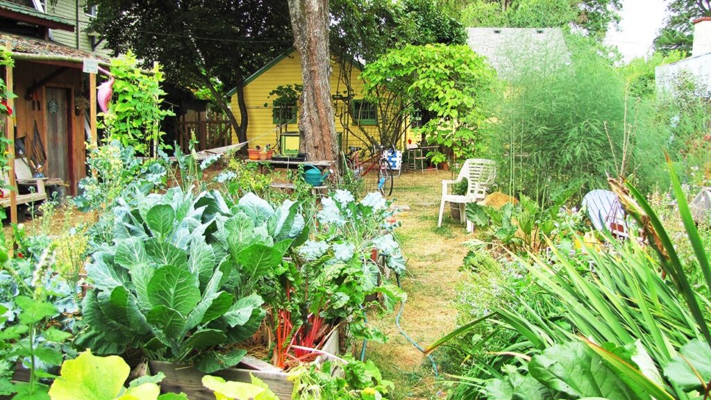 Belakang Rumah Bisa Jadi Sumber Pangan, Ini Cara Membuat Integrated Farming Sederhana