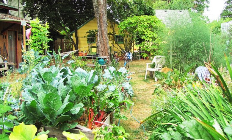 Belakang Rumah Bisa Jadi Sumber Pangan, Ini Cara Membuat Integrated Farming Sederhana