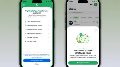 WhatsApp Plus Sudah Masuk Indonesia, Coba Sebulan Gratis Sebelum Kena Rp 13.900
