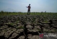 Hari Tanpa Hujan Lumpuhkan Pasuruan, 211 KK Hadapi Krisis Air Bersih