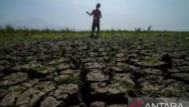 Hari Tanpa Hujan Lumpuhkan Pasuruan, 211 KK Hadapi Krisis Air Bersih