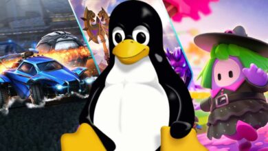 Epic Cari Ahli Anti-Cheat Linux, Harapan Main Fortnite di Sistem Ini Muncul Lagi
