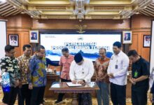 SPPG Jateng Wajib Beli Telur Dan Daging Lokal, Skema Baru MBG Lindungi Peternak Rakyat