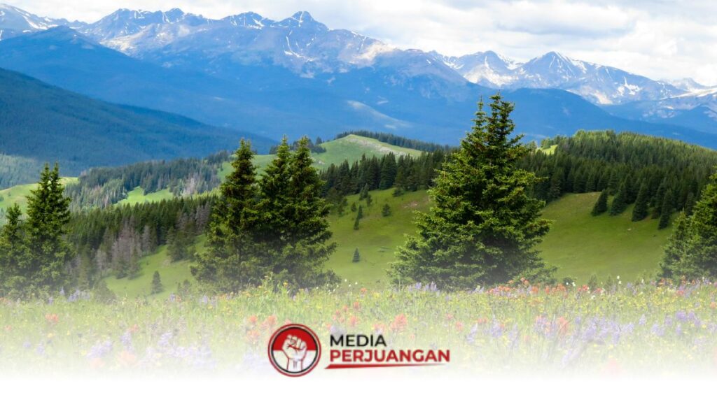 BMKG Prediksi Cerah Dominasi 25 Wilayah Jatim, Akhir Pekan Ini Pagi Kabut Tipis Bukan Hujan