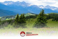 BMKG Prediksi Cerah Dominasi 25 Wilayah Jatim, Akhir Pekan Ini Pagi Kabut Tipis Bukan Hujan
