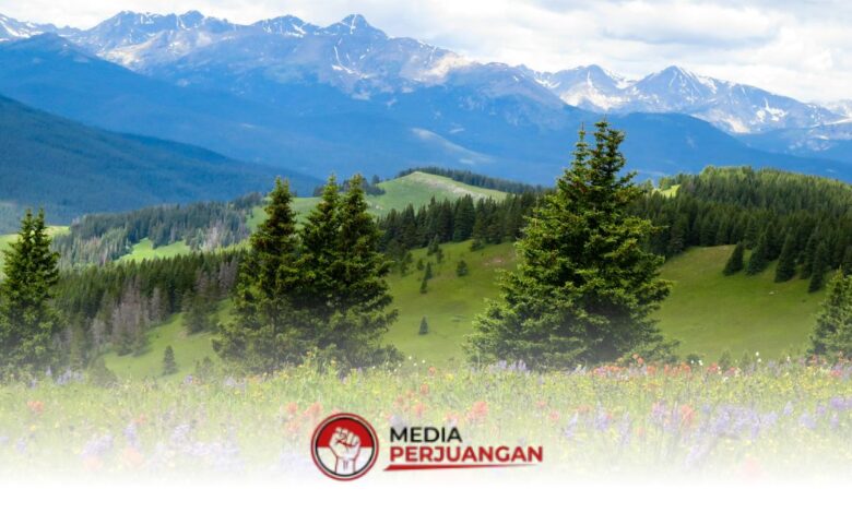 BMKG Prediksi Cerah Dominasi 25 Wilayah Jatim, Akhir Pekan Ini Pagi Kabut Tipis Bukan Hujan