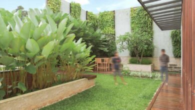 6 Tanaman Hias Outdoor Ini Bukan Cuma Cantik, Diyakini Bawa Rezeki dan Tenang di Depan Rumah