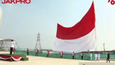 300 Corvette Membentuk Bendera Raksasa, Persembahan Mengharukan Untuk Para Veteran