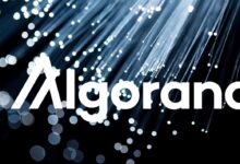Algorand Siapkan Benteng Quantum, Overhaul Keamanan Penuh Hingga Konsensusnya