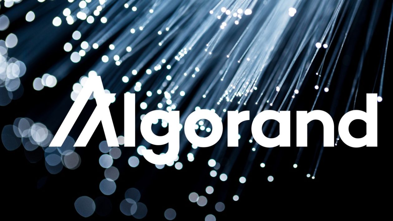 Algorand Siapkan Benteng Quantum, Overhaul Keamanan Penuh Hingga Konsensusnya