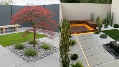 Halaman Belakang Rumah Tipe 36 Bisa Lebih Produktif, 9 Desain Ini Layak Ditiru