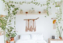 5 Tanaman Hidroponik Vas Minimalis, Solusi Cantik untuk Ruangan Sempit yang Anti Ribet