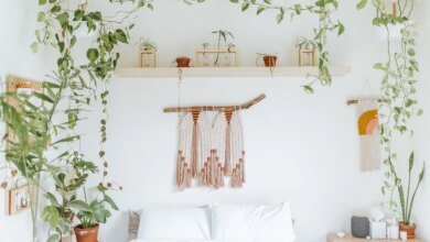 5 Tanaman Hidroponik Vas Minimalis, Solusi Cantik untuk Ruangan Sempit yang Anti Ribet