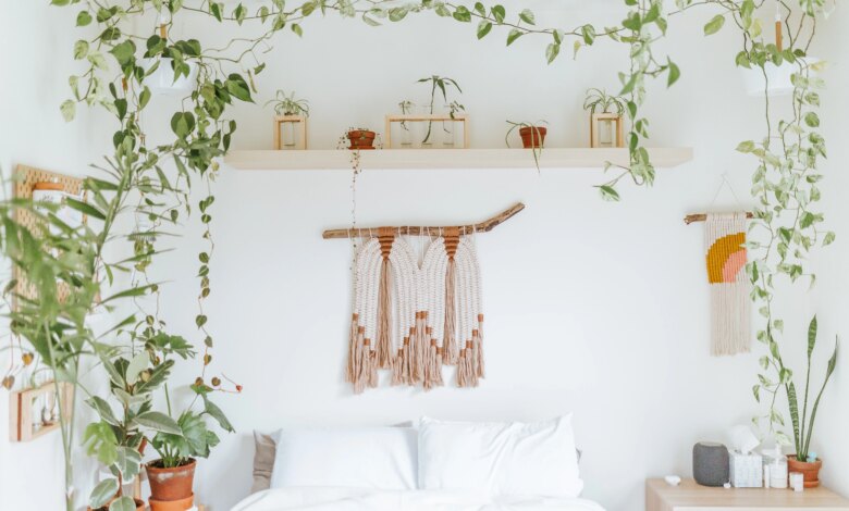 5 Tanaman Hidroponik Vas Minimalis, Solusi Cantik untuk Ruangan Sempit yang Anti Ribet