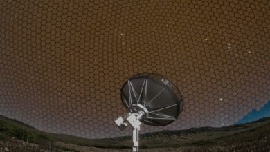 Deep Synoptic Array, Teleskop Radio Yang Memetakan Langit Dalam Sekejap