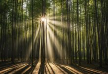 6 Prompt Gemini AI di Hutan Bambu, Foto Dramatis yang Tetap Terlihat Asli