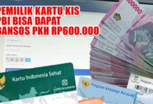 PKH Lansia Rp600.000 Per Tahap, Begini Cara Cek Status Bantuan Tanpa Salah Data