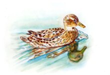 Saat Hidup Terasa Buntu, Good Duck Tawarkan Ruang Refleksi Tanpa Nasihat yang Terasa Ringan