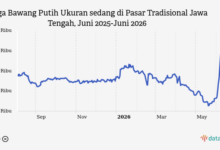 Bawang Putih Sedang Naik Lagi di Pasar Tradisional Jawa Tengah, Tembus Rp39,15 Ribu per 19 Juni 2026