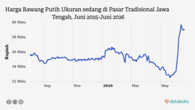 Bawang Putih Sedang Naik Lagi di Pasar Tradisional Jawa Tengah, Tembus Rp39,15 Ribu per 19 Juni 2026