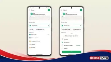 WhatsApp Rapikan Fitur About, Preview dan Privasi Kini Satu Layar