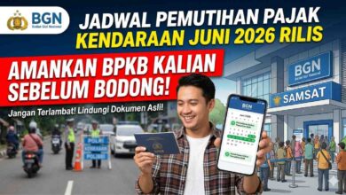 Masih Ada Pemutihan Pajak Kendaraan, 7 Provinsi Ini Buka Peluang Bayar Jauh Lebih Ringan
