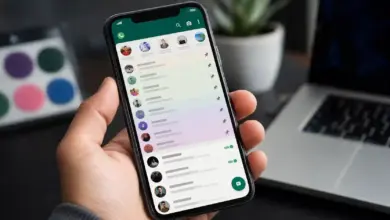 WhatsApp Plus Resmi Masuk Indonesia, Coba Gratis Sebulan Sebelum Bayar Rp13.900