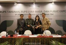 PALM Siap Bagi Dividen Rp50,34 Miliar, Yield Cuma Sekitar 1%