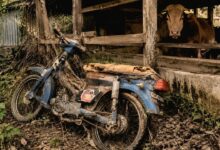 Honda C800 Restorasi Ini Tampak Seperti Motor Baru, Tak Heran Jadi Incaran Kolektor