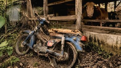 Honda C800 Restorasi Ini Tampak Seperti Motor Baru, Tak Heran Jadi Incaran Kolektor