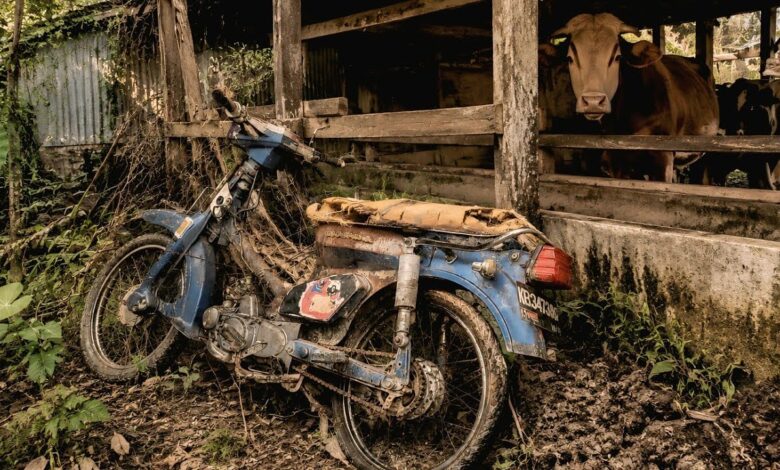 Honda C800 Restorasi Ini Tampak Seperti Motor Baru, Tak Heran Jadi Incaran Kolektor