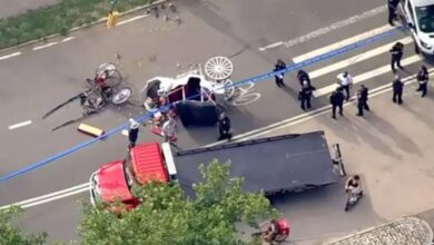 Kereta Kuda Central Park Mengamuk, Turis India Tewas Saat Kusir Lalai Mengemudi