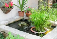 Kolam Ikan untuk Balita Tak Harus Berisiko, Pilihan Cantik Ini Tetap Aman di Rumah