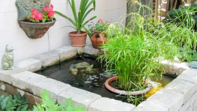 Kolam Ikan untuk Balita Tak Harus Berisiko, Pilihan Cantik Ini Tetap Aman di Rumah